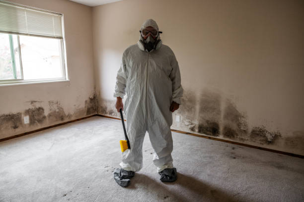 Best Commercial Mold Removal  in Portage, PA